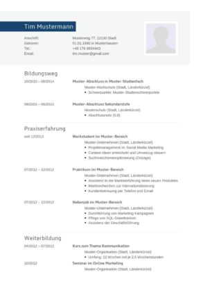 Curriculum Vitae Cv 77 Lebenslauf Muster Vorlagen 21 Ld